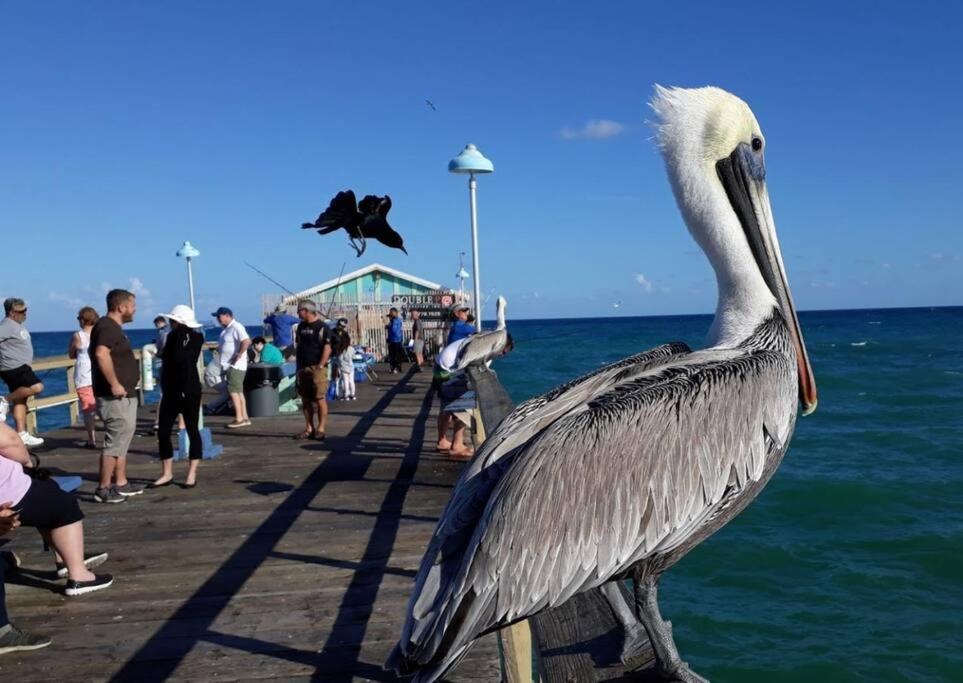 Fort Lauderdale Guest House Kültér fotó